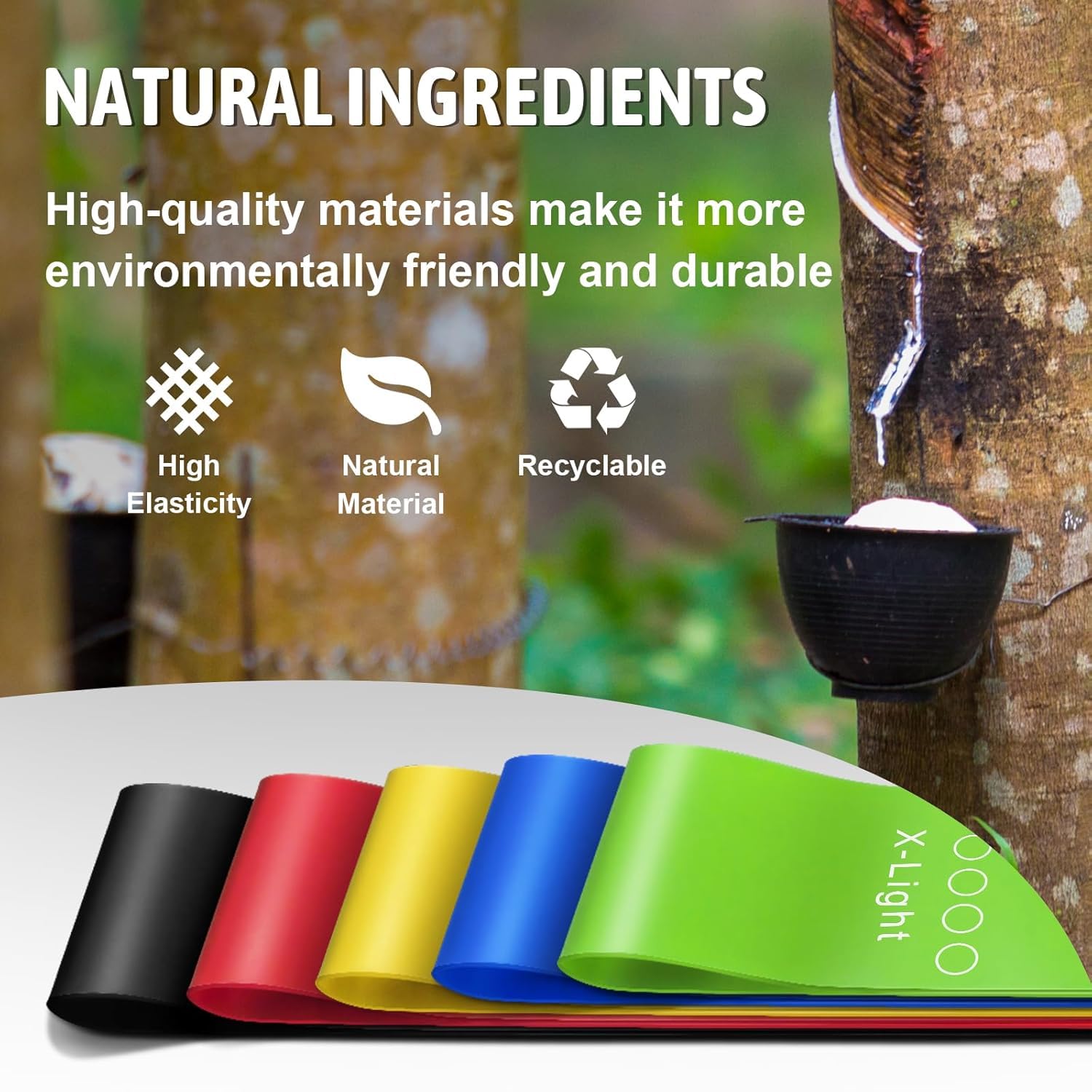 Excercise Loop Band (5 in 1)