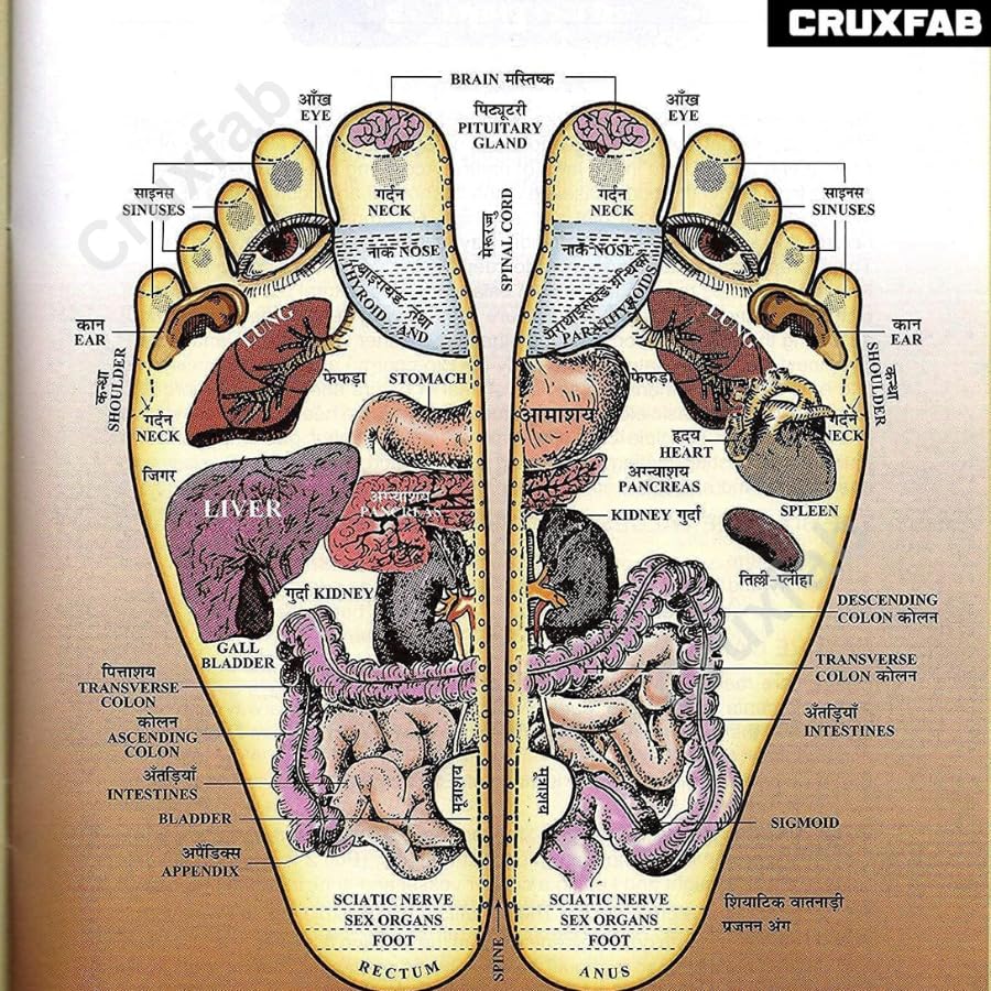 Wood Acuapressure 3 Roller Foot Massager